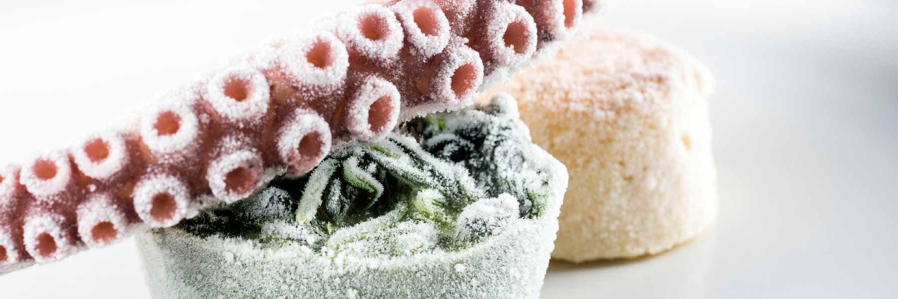 Schockfroster_FrigoJet_fisch.jpg 